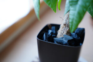 使い方３：土壌環境改善に